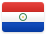 Paraguay country flag